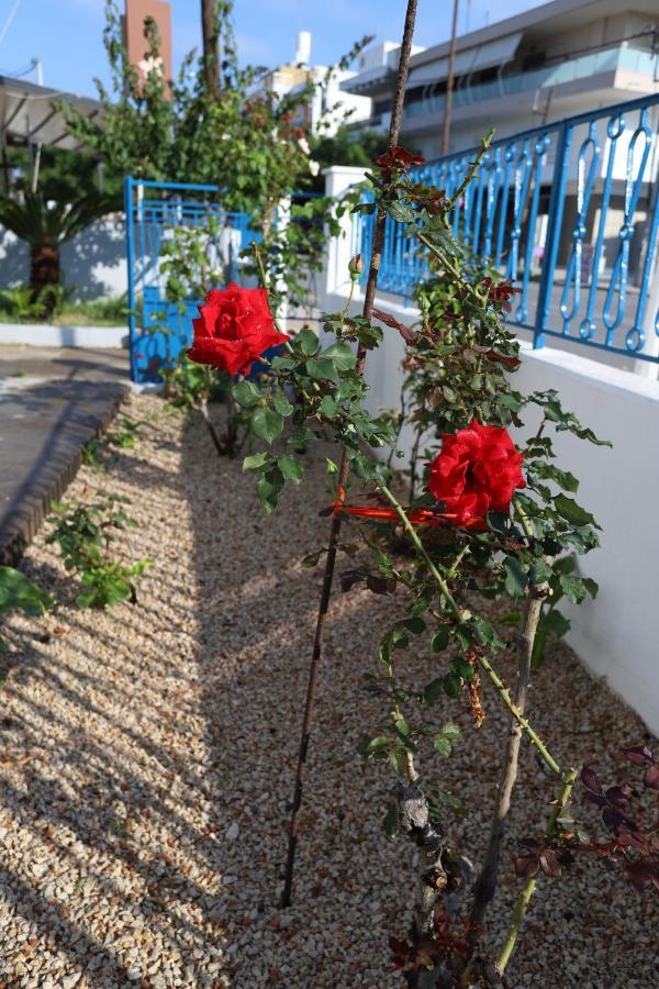 Traditional Town Garden Appartement *